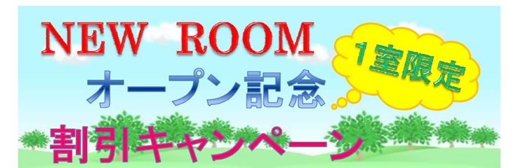 NEW ROOMI[vLOLy[